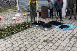 Volunteer in a yellow crewneck and boots working with tools on drying water hyacinth for conservation efforts.