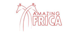 Amazing Africa logo in colour