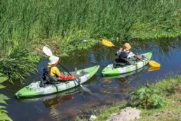 Two people kayaking in green kayaks on a calm waterway in Khayelitsha Wetlands.